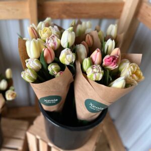 Spring Tulip Subscription
