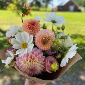 Bouquet of flowers featuring dahlias and cosmos